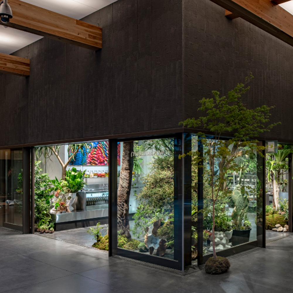 THISIS)SHIZEN / (THISIS)NATURE